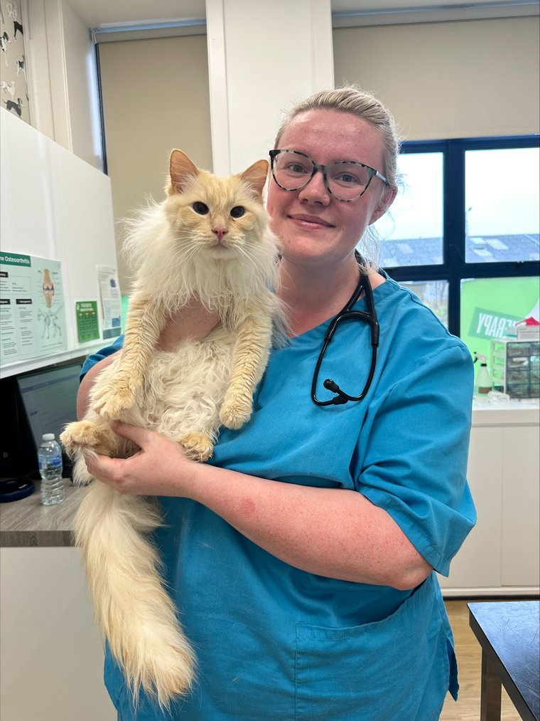 Dr Caitlin McEwan