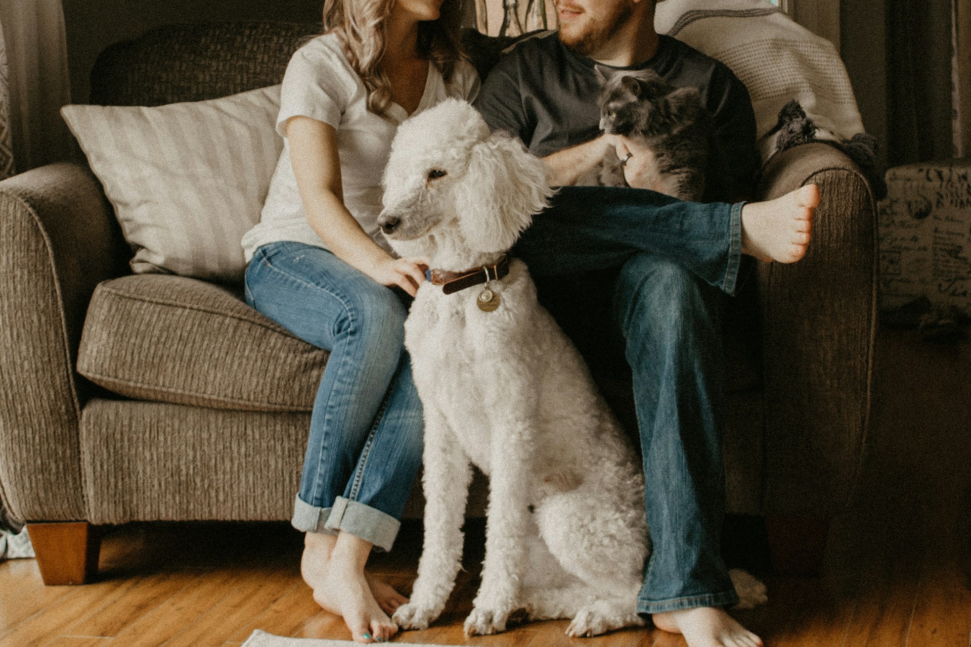 A dog sitting between two owners on a sofa at home