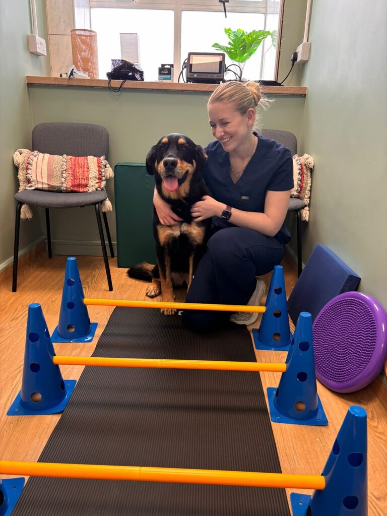 Bethany with a dog in the physiotherapy room at The Natural Vet, Thornliebank